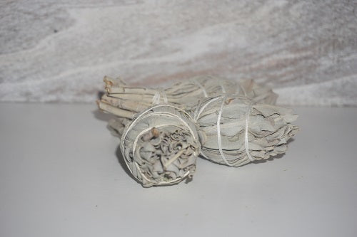 Torch White Sage
