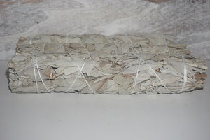 California White Sage
