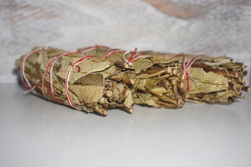 Yerba Santa Sage